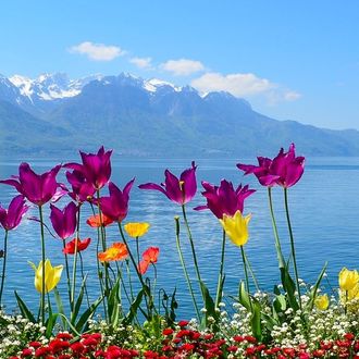 Das Juwel der Alpen - Genfer See